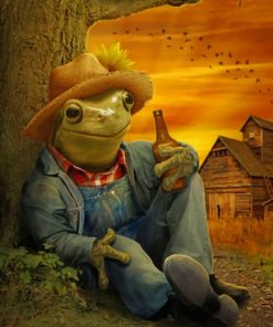 Farmer Frog Paint by numbers
