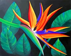 Aesthetic Bird Of Paradise Flower Paint by numbers