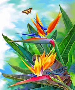 Bird Of Paradise And Butterfly Paint by numbers
