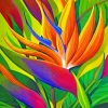 Bird Of Paradise Flower Paint by numbers