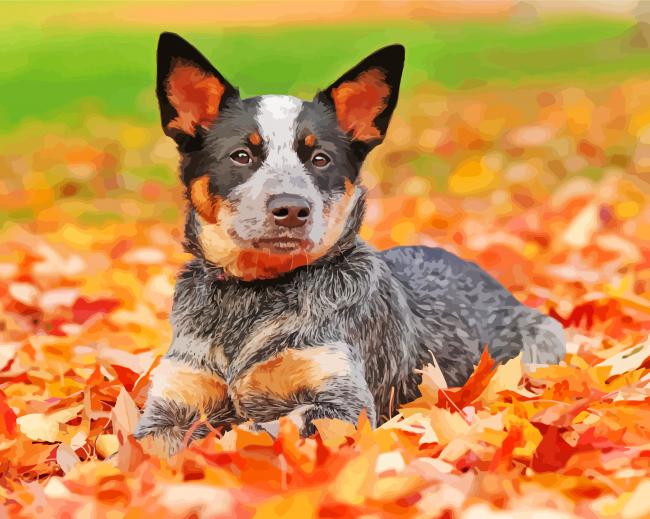 Blue-heeler-paint-by-numbers