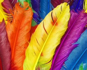 Colorful-Feathers-paint-by-numbers-1