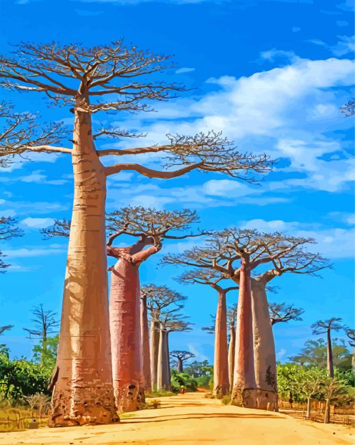 Madagascar Baobabs Trees Paint by numbers