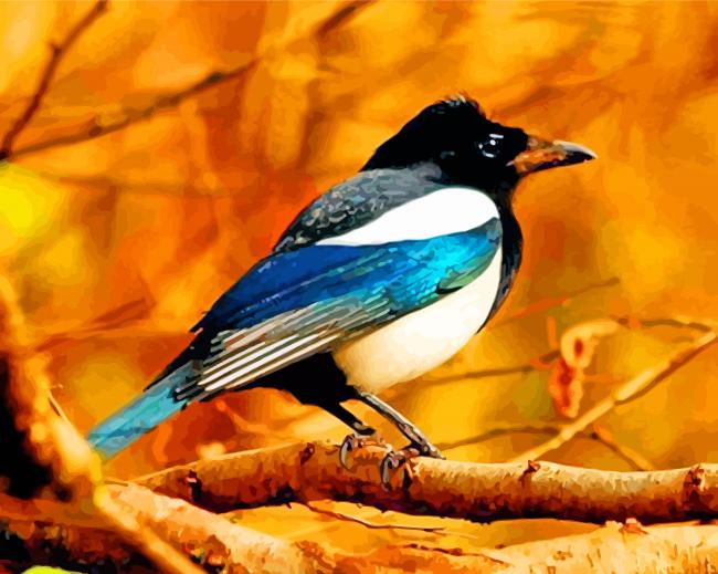 Magpie Bird Animal Paint by numbers