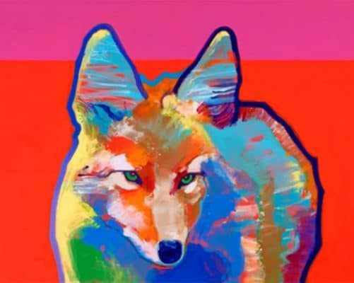Colorful Coyote Paint by numbers