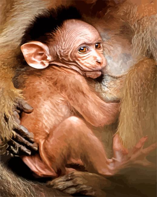 adorable-baby-macaque-paint-by-numbers