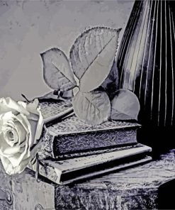 black-and-white-rose-flower-paint-by-number