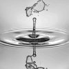 black-and-white-water-drop-paint-by-numbers