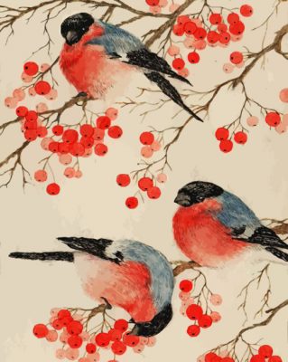 Bullfinch Birds Paint by numbers