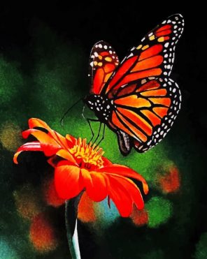 colorful-butterfly-on-flower-paint-by-numbers