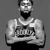 d-angelo-Brooklyn-Nets-paint-by-number