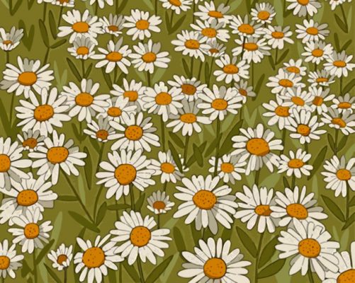 Daisy Field Illustration paint by numbers