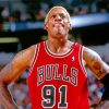 dennis-rodman-chicago-bulls-paint-by-number
