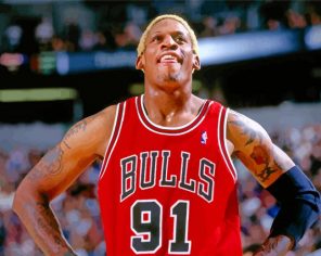 dennis-rodman-chicago-bulls-paint-by-number