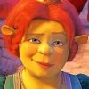 fiona-from-shrek-paint-by-number