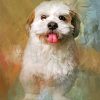 fluffy-shih-tzu-paint-by-numbers