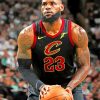 lebron-james-Cleveland-Cavaliers-paint-by-numbers