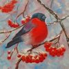 Lonely Bullfinch Paint by numbers