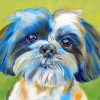 shih-tzu-pet-paint-by-number