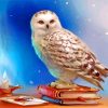 Hedwig Owl Paint by number