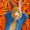 Peter Rabbit Paint by number