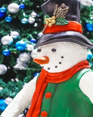 Snow Man With Clothes paint by numbers