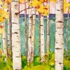Birch Trees paint by numbers