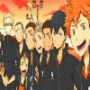 haikyu Anime Serie paint by number