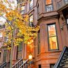 autumne Brownstone paint by numbers
