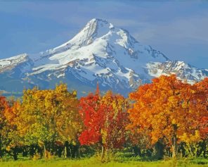 Autumn Mt Hood Oregon paint by numbers