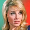 Aesthetic Sharon Tate Paint By Numbers