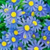 Blue Daisies Flowers Paint By Numbers