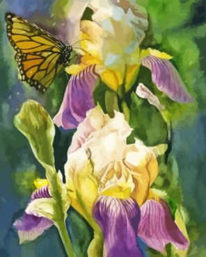 Irises With Butterflies Art Paint By Numbers