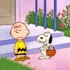 Charlie Brown with Snoppy Puppy Painting By Numbers