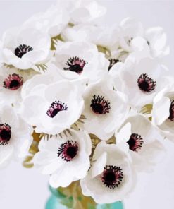 White Anemones Vase Paint By Numbers