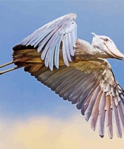 Flying Shoebill Stork Bird Paint By Numbers
