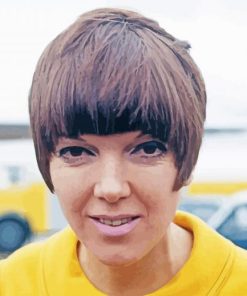 British Fashion Designer Mary Quant Paint By Numbers