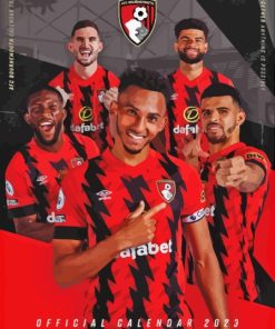 Afc Bournemouth Players Paint By Numbers